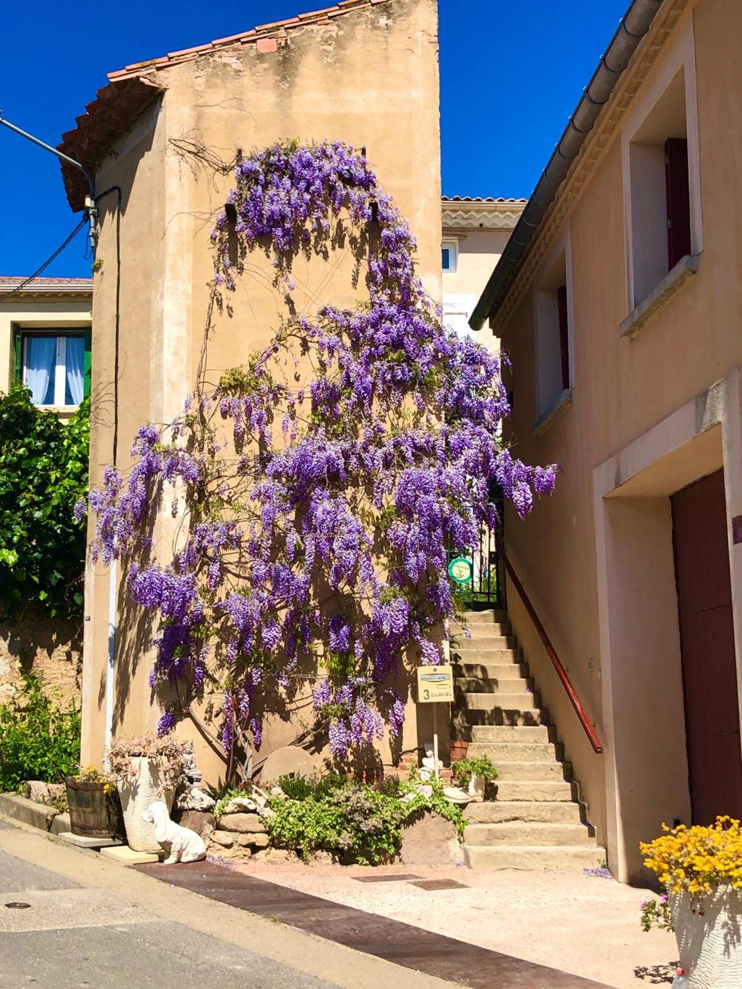 Maison Du Midi, 2 Gites De Charme Ginestas 외부 사진